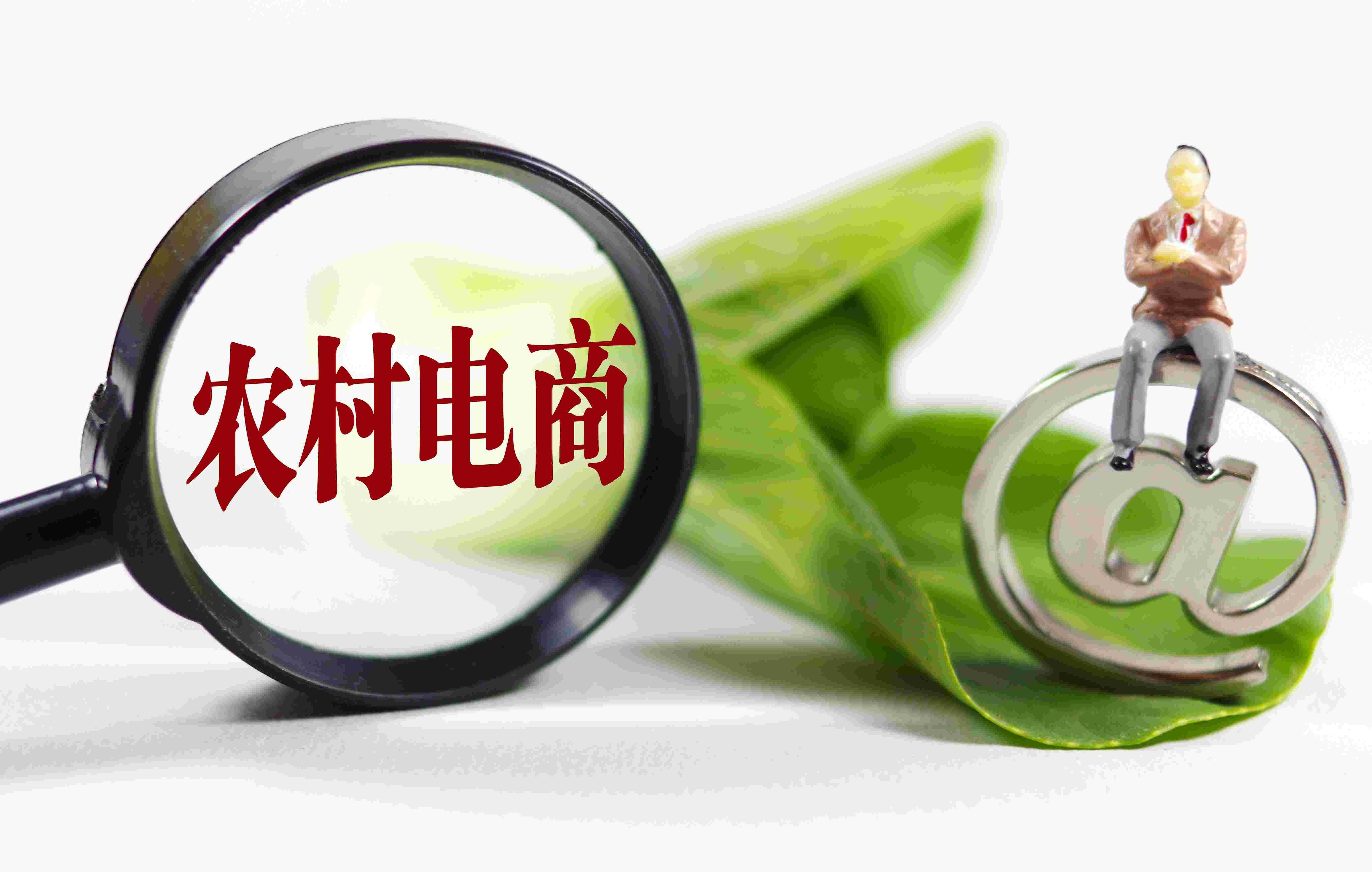 <b>搭建农村电商平台需要注意哪些问题？</b>