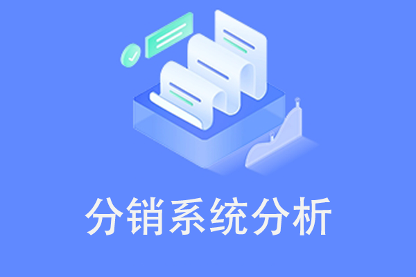 <b>分销系统分析</b>