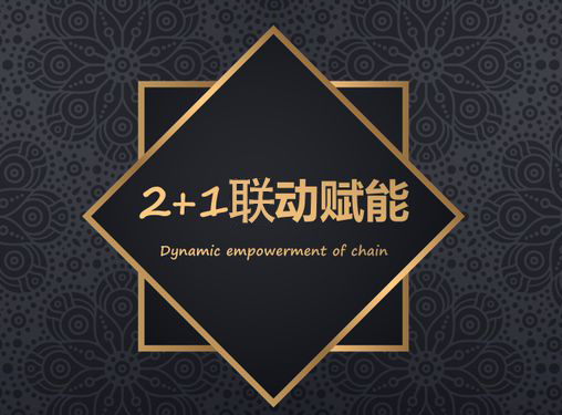 <b>分销模式—2+1无限联动模式</b>