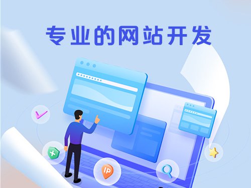 专业的网站开发