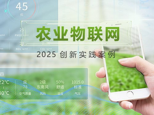 2025年农业物联网创新实践案例